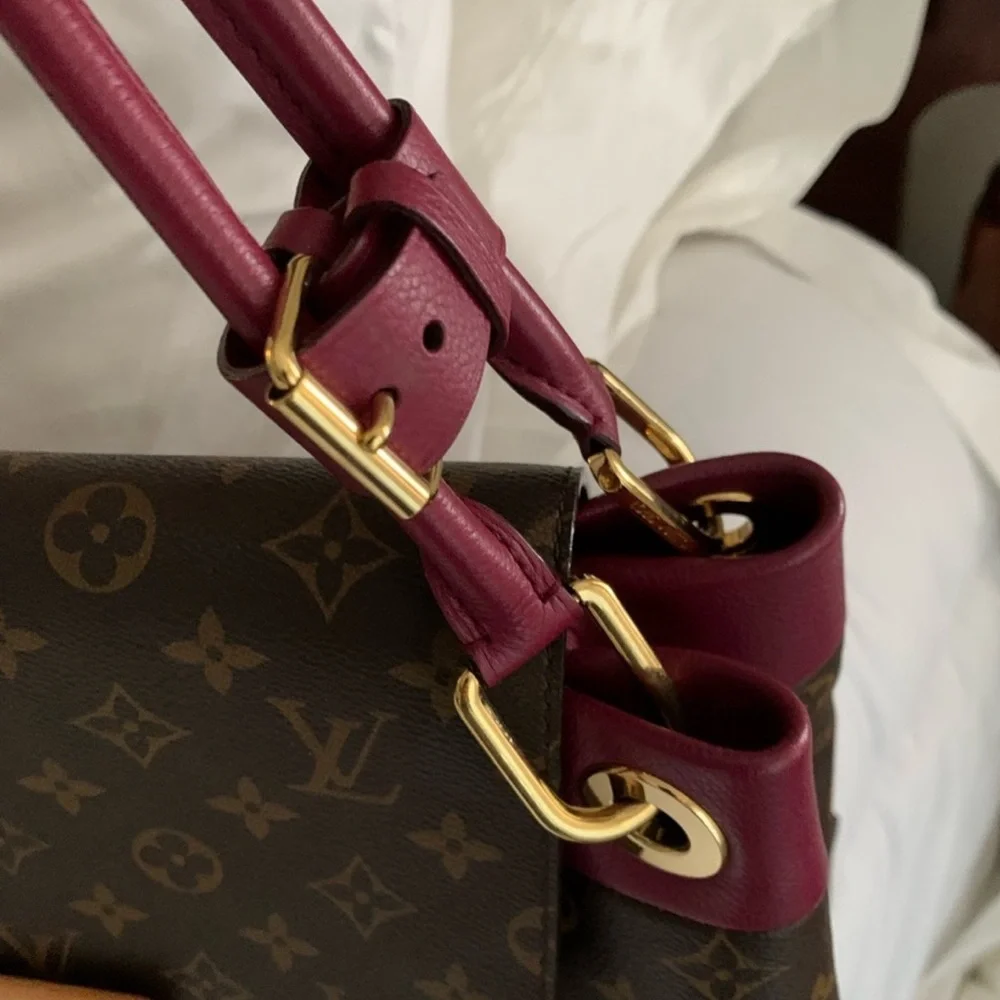 Louis Vuitton Brown and Burgundy Shoulder Bag
